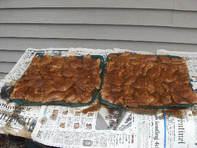 BBQ Chicken with rub