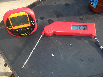 Timer and thermometer